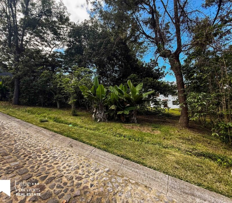 Excelente Inversion de 2 Terrenos En Venta Antigua Gardens