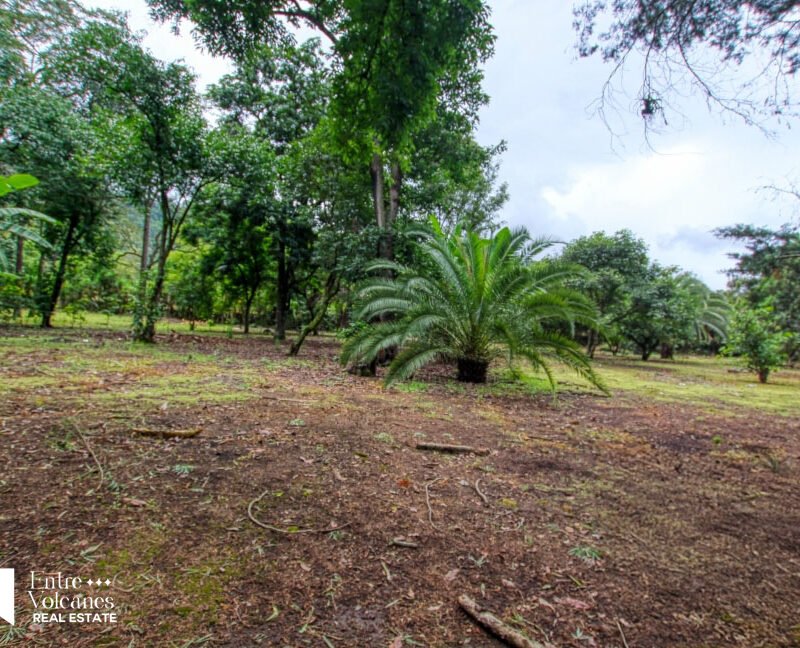Impresionante Terreno En Venta En San Felipe De Jesus