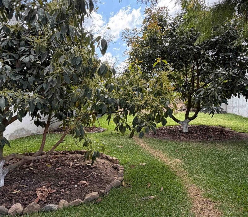 Excelente Inversión En EL Área De San Pedro Las Huertas