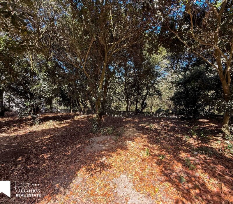 Terreno En Venta Hacienda El Comendador.