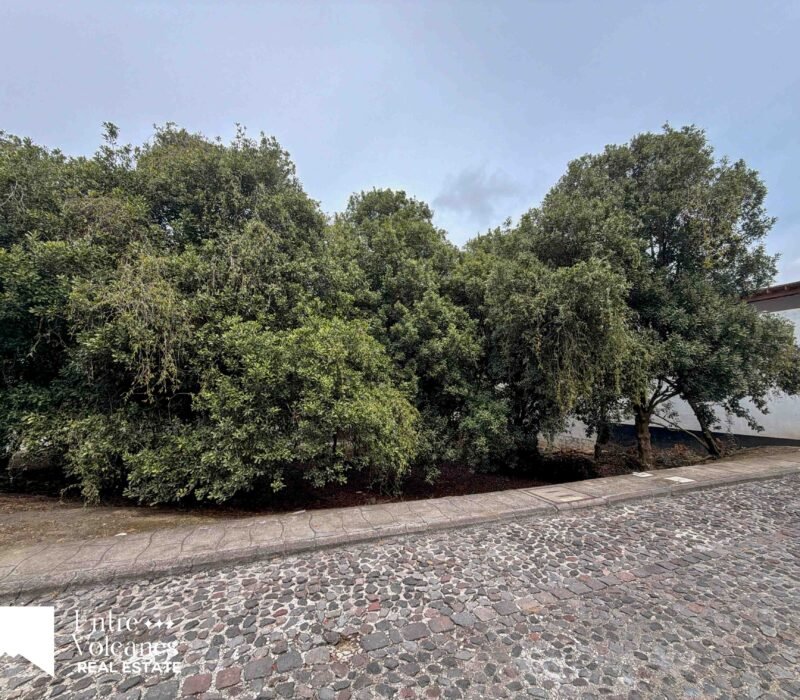 Terreno En Venta Hacienda El Comendador