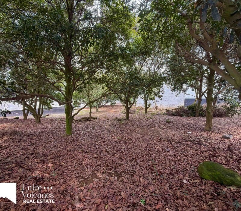 Terreno En Venta Hacienda El Comendador